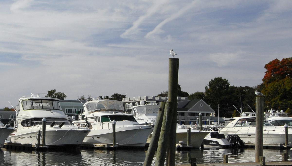 Boating Greenwich Water Club